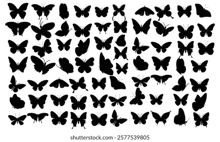 Butterfly silhouettes Cute butterfly stencils summer insects with wings flying butterflies