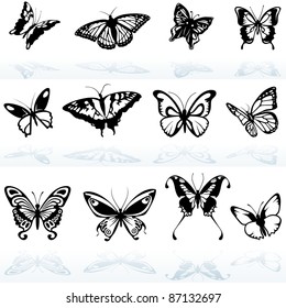 Butterfly Silhouettes - detailed illustration, vector