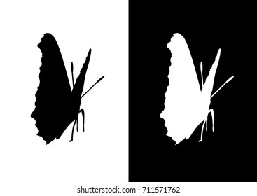 a butterfly silhouettes on a dark and white background. Vector illustration.