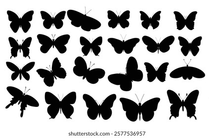 Butterfly Silhouettes vector design 1