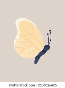 Butterfly simple hand drawn in trendy style. Modern vector illustration isolated on white background
