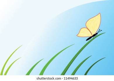 butterfly sit on grass under blue sky