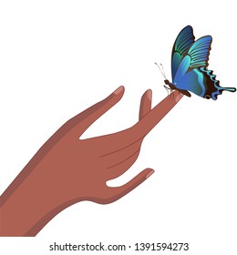 A butterfly sits on a finger. Vector image
