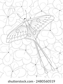 Вeautiful butterfly sits on the leaves. Coloring for adults.