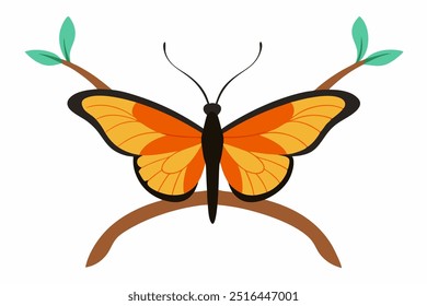 A Butterfly sitting on a branch