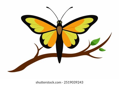 Uma borboleta em um galho