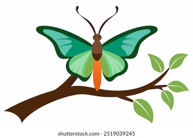A Butterfly sitting on a branch