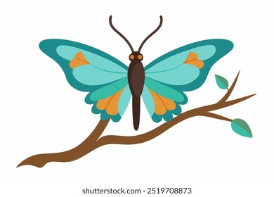 A Butterfly sitting on a branch