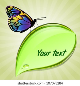 Butterfly sitting on green leaf with place for text