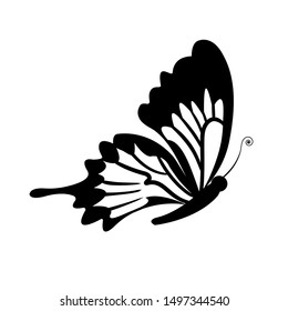 butterfly sketch in black lines. Vector illustration isolated on white background.