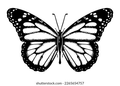 Butterfly sketch drawing drawn by hand with ink. Insect silhouette. Isolated on white background. Vector.