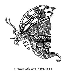 butterfly sketch. Hand drawn vector illustration. Isolated on white