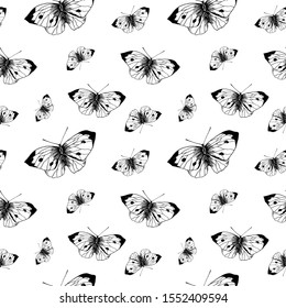 Butterfly sketch pattern. Hand drawn insect butterflies cabbage on white background. Seamless vector backdrop.