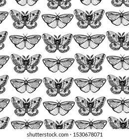 Butterfly sketch seamless pattern. Fabric design. Hand drawn vector illustration. Butterfly vintage background. Cinnabar moth seamless pattern.