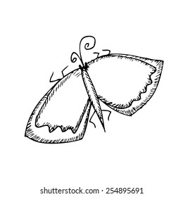 Butterfly sketch. Vector illustration. Isolatrd on white