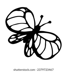 Butterfly sketch. Winged insect moth. Hand drawn illustration.