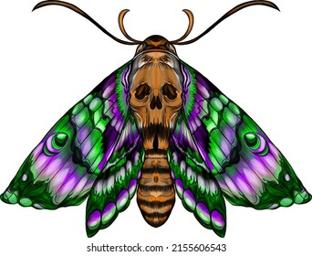 butterfly with a skull color vector illustration