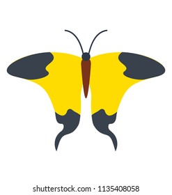 
A butterfly with soft patterns and wingling swallowtail, icon of mocker swallowtail butterfly 
