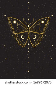 Butterfly, space, astrology, tarot cards,  sign, 