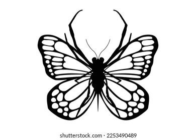 Diseño vectorial en blanco y negro de araña mariposa