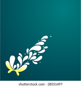 butterfly with splash