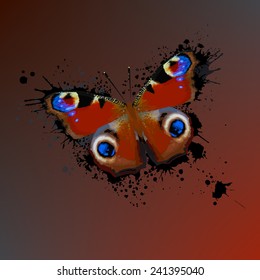 Butterfly with spots of paint.  Vector 