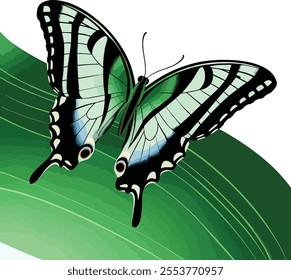 butterfly spread wings and sitting illustration