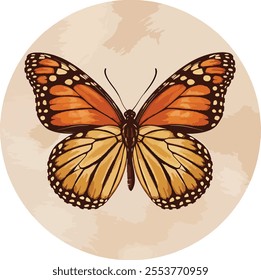 butterfly spread wings and sitting illustration