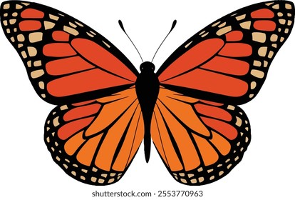 butterfly spread wings and sitting illustration