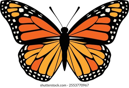 butterfly spread wings and sitting illustration