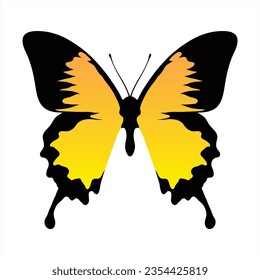 Lápiz de mariposa sobre fondo blanco