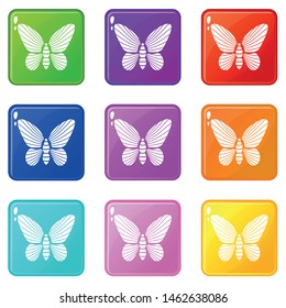 Butterfly with striped pattern on wings icons set 9 color collection isolated on white for any design