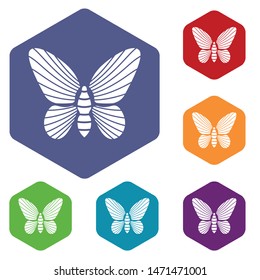Butterfly with striped pattern on wings icon in simple style isolated on white background. Insect symbol