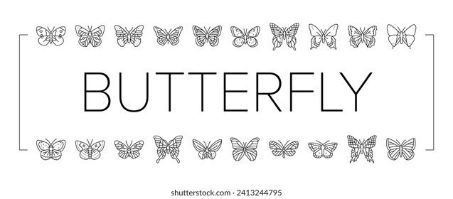 butterfly summer spring insect icons set vector. nature art, fly colorful, natural beautiful, beauty decoration, style animal, wing butterfly summer spring insect black line illustrations