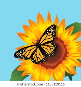 Butterfly and Sunflower, Vector Illustration