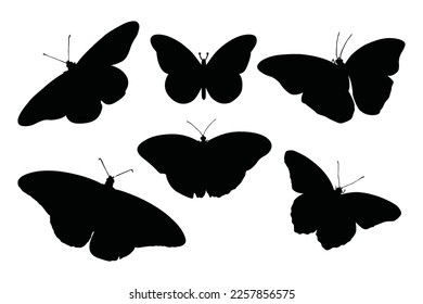 Butterfly Svg Eps file bundle Butterflies vector image svg