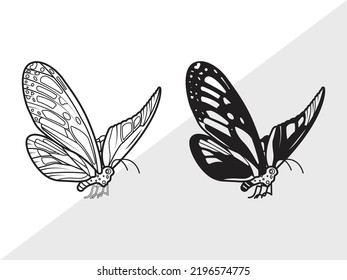 Butterfly SVG Printable Vector Illustration svg