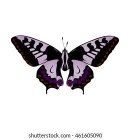 Butterfly Swallowtail realistic 