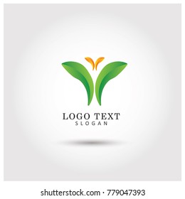 Butterfly Symbol & Icon Logo Vector Template