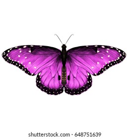 butterfly symmetric top view pink with spots , sketch vector graphics color picture