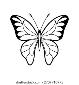 Mariposa con alas simétricas Vector