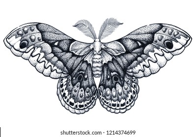 Butterfly tattoo art. Hyalophora cecropia. Cecropia moth. Vector tattoo. Mystical symbol of freedom, nature, beauty, perfection. North America's largest native moth