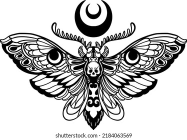 Butterfly Tattoo Designs Handrawn Line Art