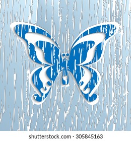 butterfly texture