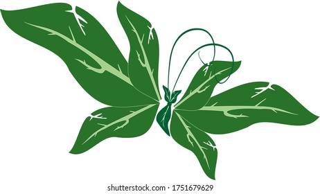 a butterfly that flaps its wings to fly to the sky
