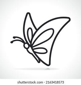 butterfly thin line icon isolated