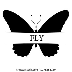 Butterfly with title "fly", isolated on white. Vector