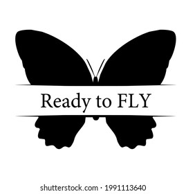 Butterfly with title "ready to fly", isolated on white. Vector