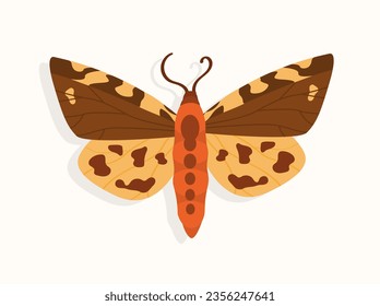 Schmetterlingsfoto-Konzept. Adorable Insekten mit bunten Mustern auf Flügeln. Fauna und Flora. Poster oder Banner für die Website. Cartoon-FlachVektorgrafik einzeln auf weißem Hintergrund