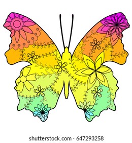 Butterfly with transition colors
